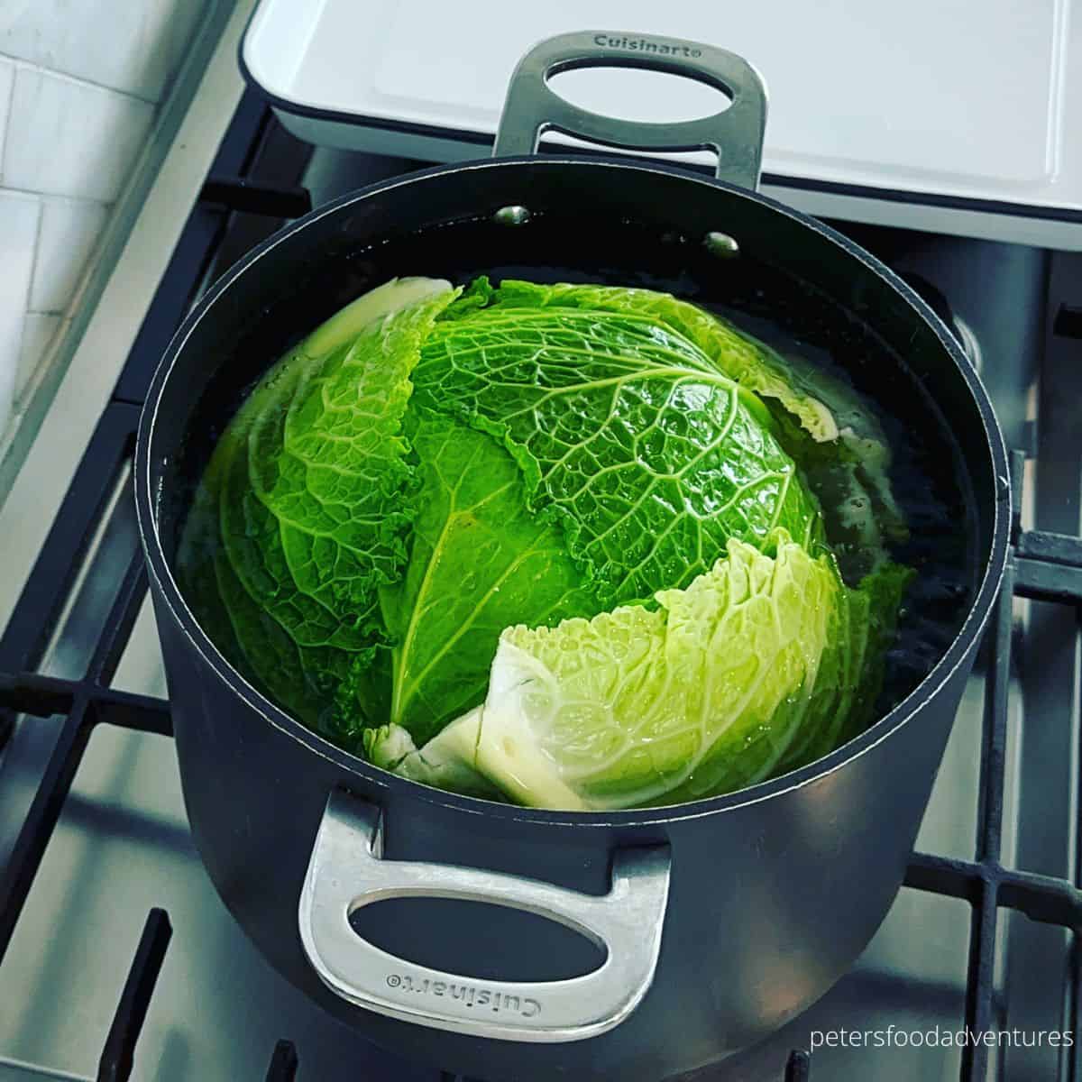 boiling whole cabbage