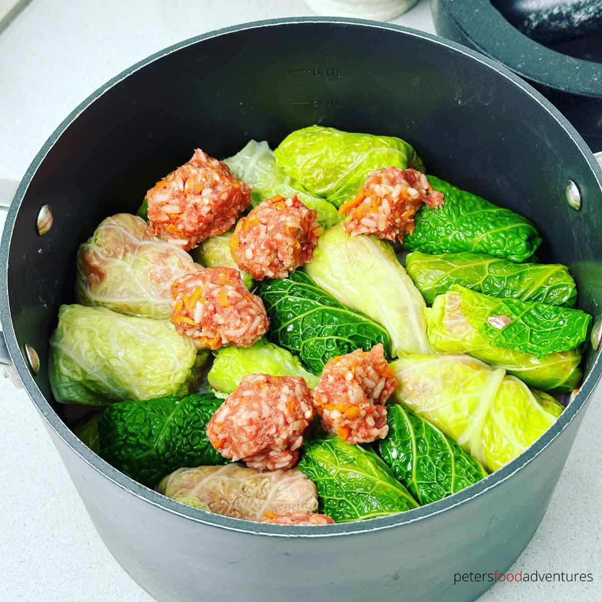 cabbage rolls in a pot