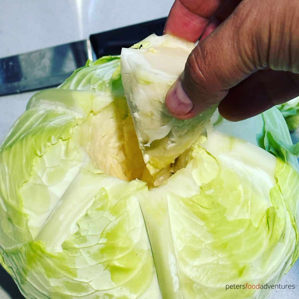 removing cabbage core