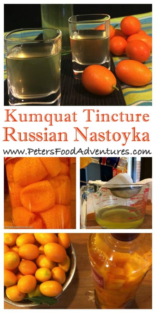 Making a tincture is easy, full of essential oils, anti-oxidants and vitamins, infused in Russian vodka. Known as Kumquatcello, similar to Limoncello, - Kumquat Nastoyka Tincture (настойка)