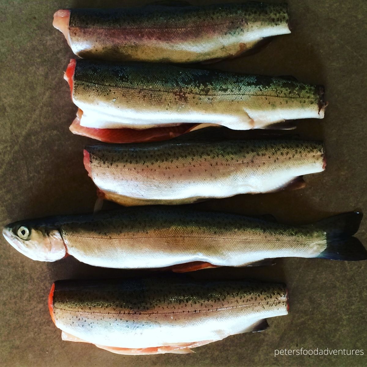 5 whole lake trout on a cutting board