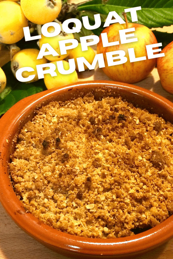 How to use Loquat fruit? Make a Apple and Loquat Crumble! Also known as Japanese Plum, it's a recipe that's easy to make and a delicious. A great way to use up an abundance of fruit, a tasty recipe that everyone will love! A perfect way to use up a fruit, that many people have forgotten about!