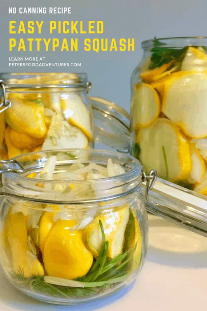 Quick Pickled Summer Squash - A great way to preserve your pattypan vegetables through pickling without canning. These are so good! Throw a few on a hamburger, Perfect for bbq season this summer!