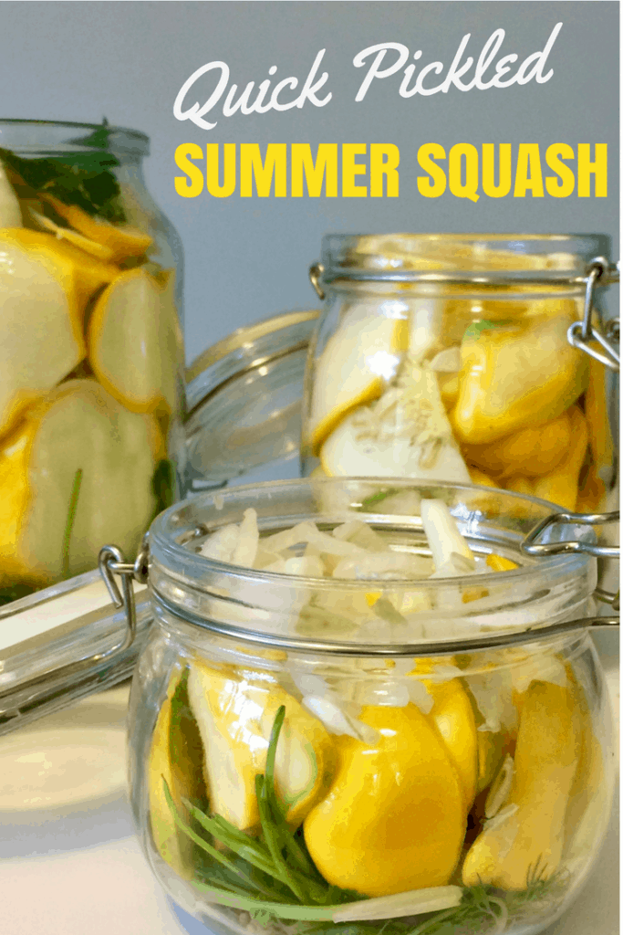 Quick Pickled Summer Squash - A great way to preserve your pattypan vegetables through pickling without canning. These are so good! Throw a few on a hamburger, Perfect for bbq season this summer!