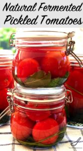 This traditional way of preserving or fermenting tomatoes has been used in Russia for hundreds of years, with lacto-fermentation and probiotics. From my babushka to your kitchen! Fermented Pickled Tomatoes (солёные помидоры)