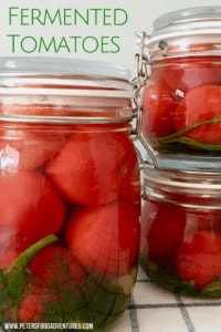 This traditional way of preserving or fermenting tomatoes has been used in Russia for hundreds of years, with lacto-fermentation and probiotics. From my babushka to your kitchen! Pickled Fermented Tomatoes (солёные помидоры)