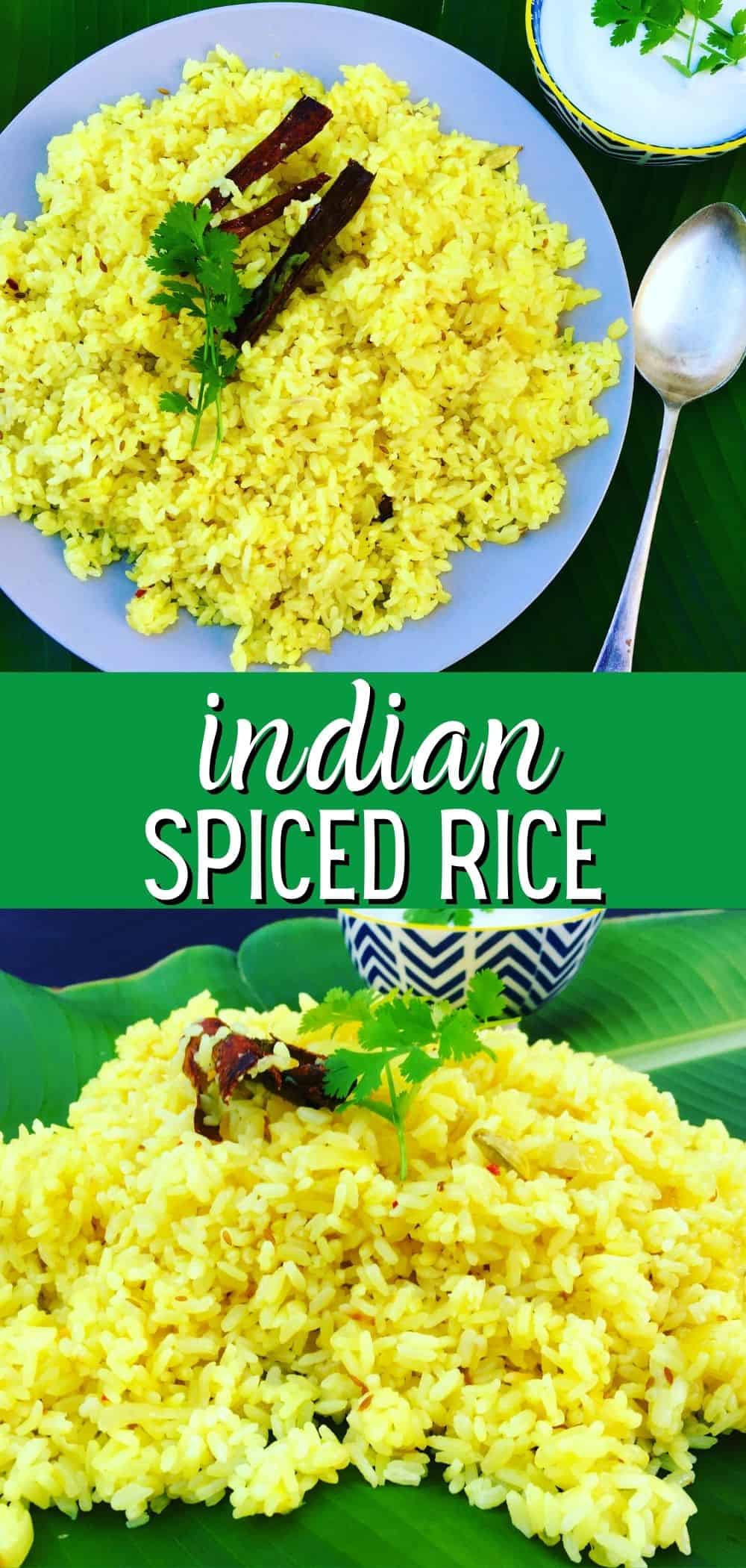 indian rice on a plate