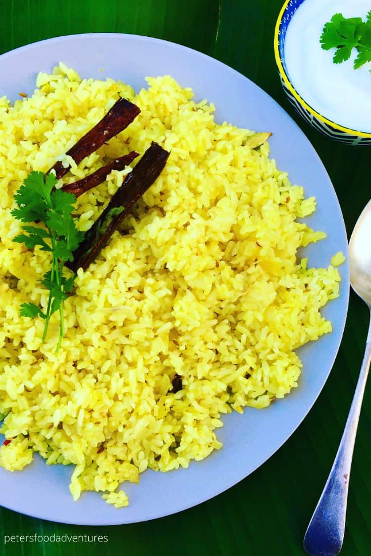 indian rice on a plate