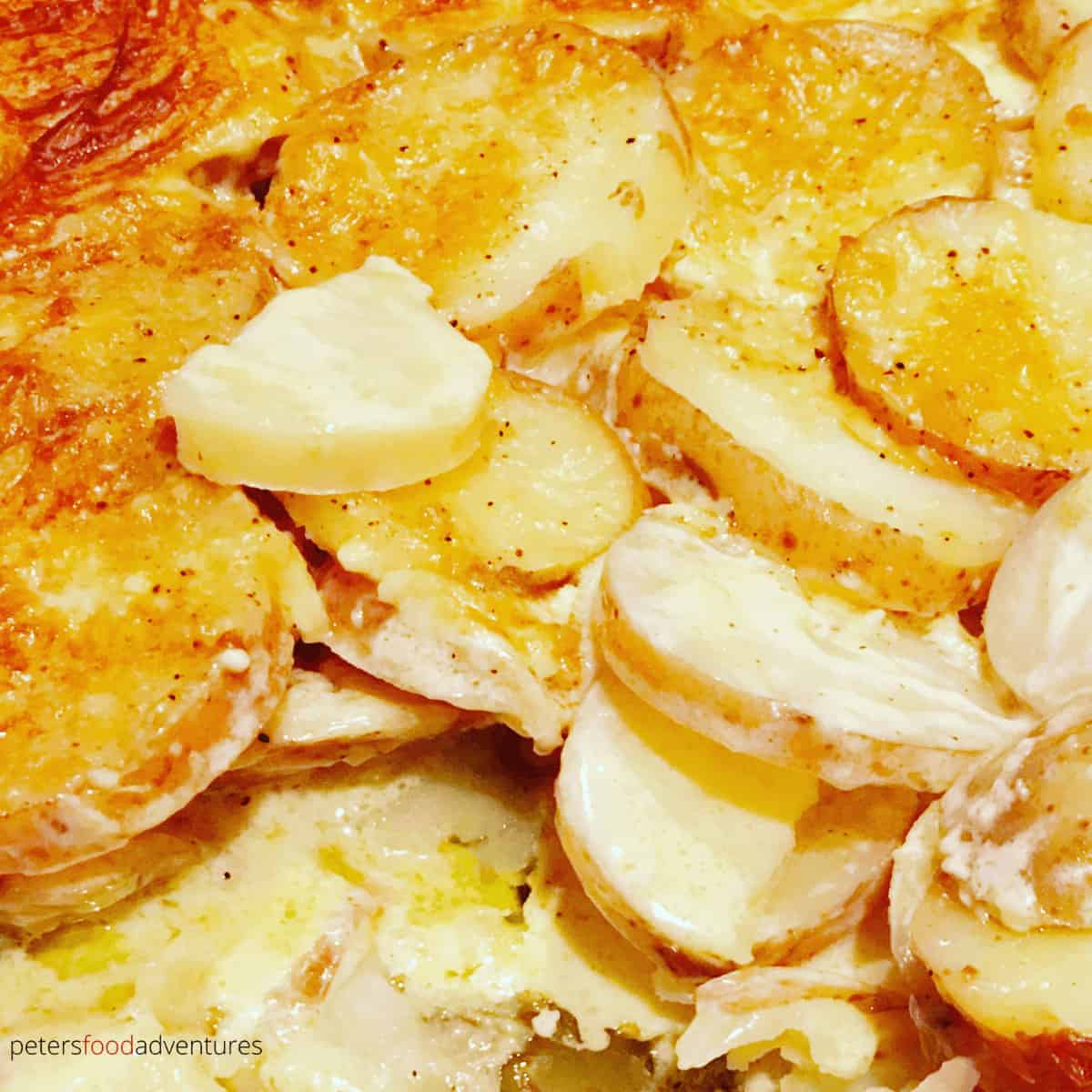 A tasty sidedish that's full of flavor! Creamy Scalloped Potatoes has Parmesan Cheese, whipping cream, garlic, mustard powder, nutmeg and butter. Easy to make, everyone will love this potato bake recipe!