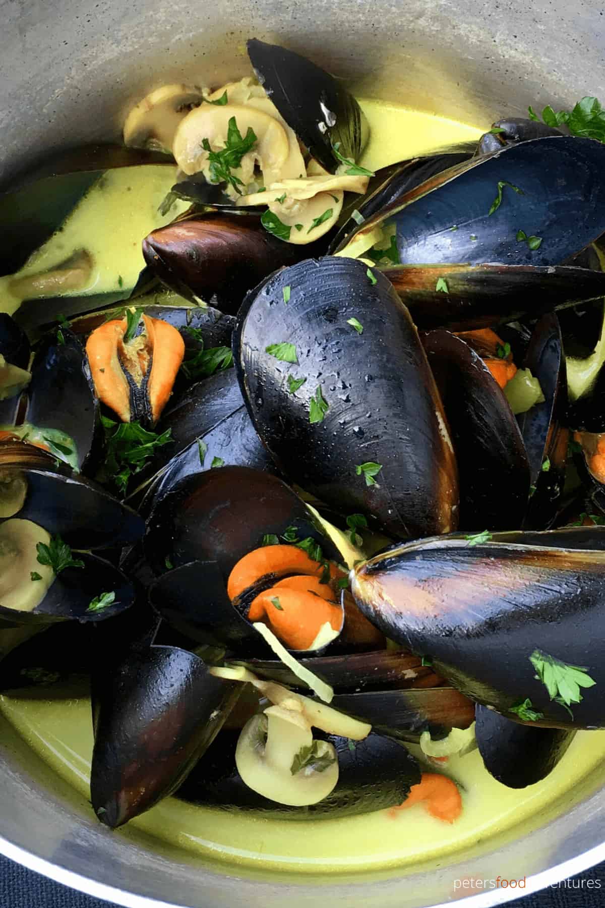 close up of steamed mussels in white wine in a pot