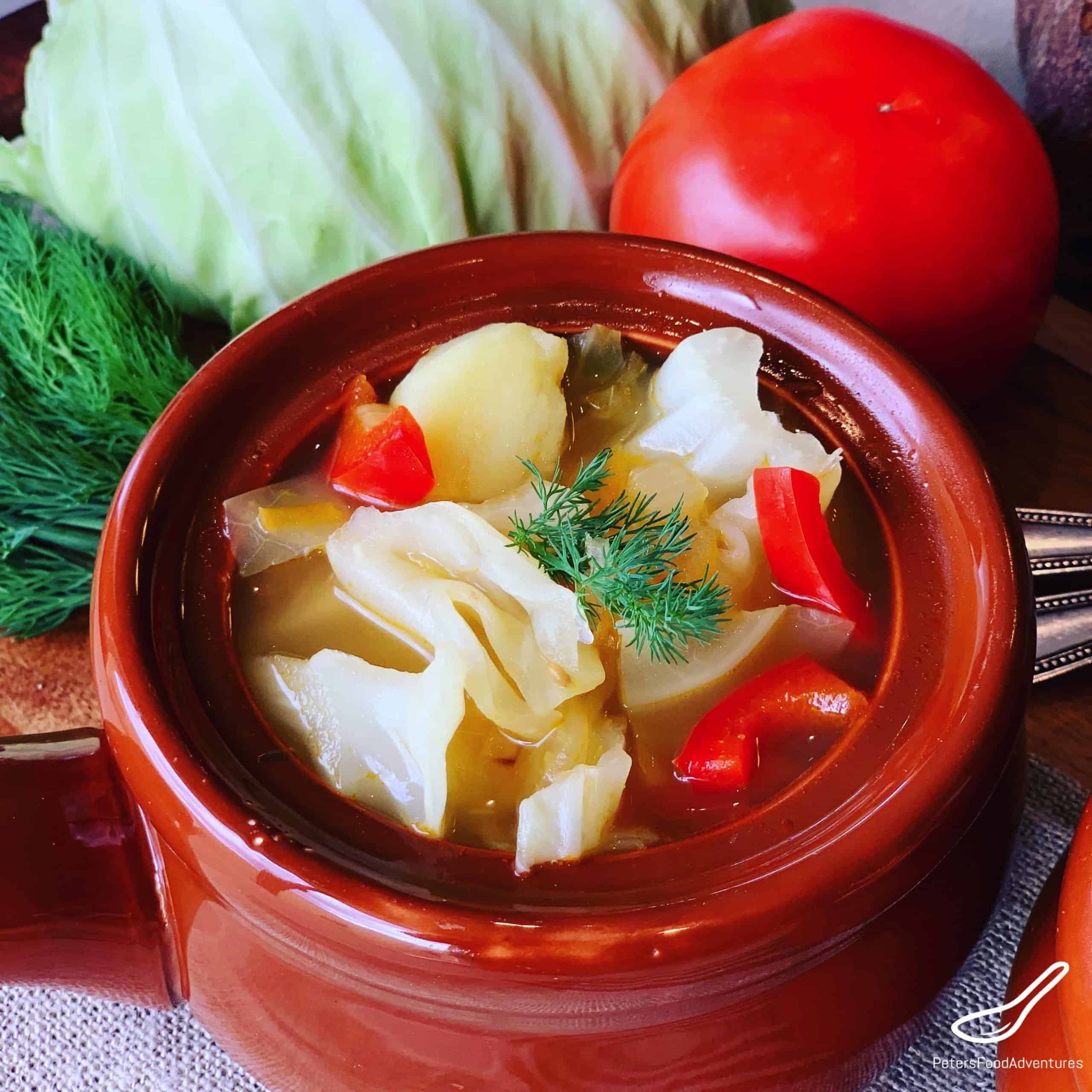 Russian Vegetarian Cabbage Soup - Delicious, incredibly healthy and vegan! Enjoyed in Russia for over 1000 years. Vegan Shchi Soup (Щи постные)