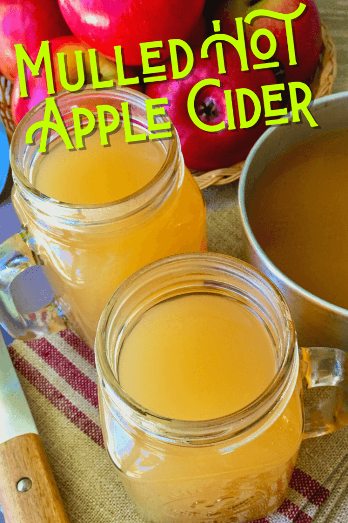 Spiced Hot Apple Cider - the aroma fills your whole house with this classic American spiced drink, especially popular during Thanksgiving and Christmas. This non-alcoholic mulled apple cider recipe is perfect for a cold chilly night, made with naturally cloudy apple juice
