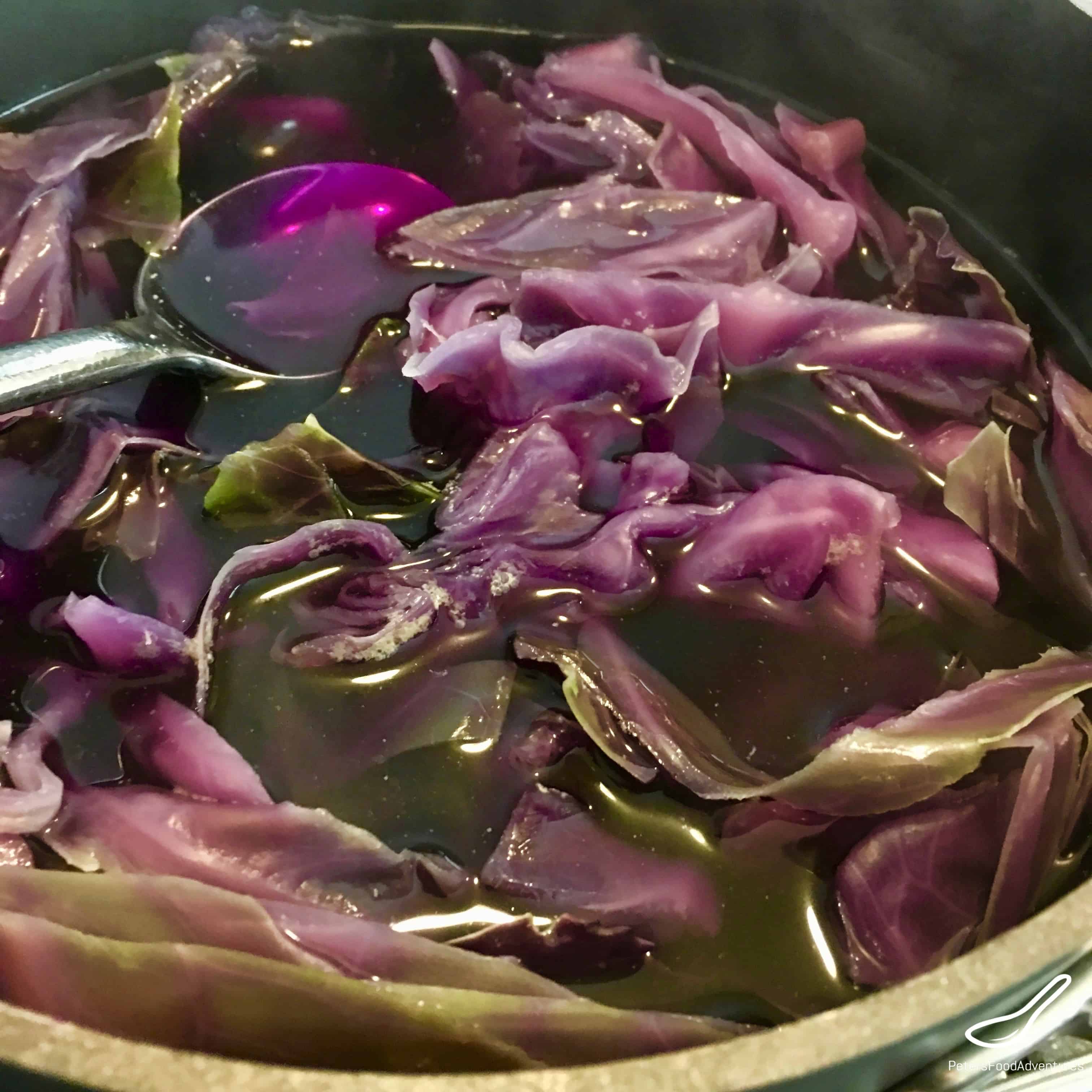preparing blue dye from red cabbage