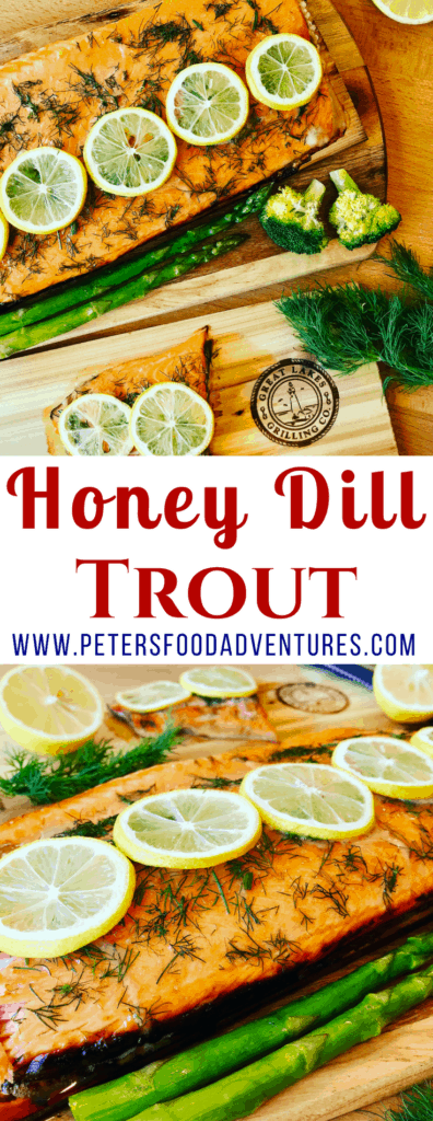 A Cedar Plank Trout Fillet recipe adds a wonderful smokey infusion to your Steelhead trout fillet or Salmon fillet. Using honey, lemon and dill, the perfect flavors for a healthy dinner recipe.