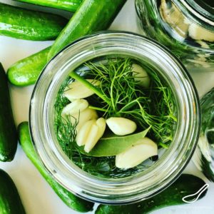 Preparing Dill Pickle jars with herbs, garlic and cucumbers