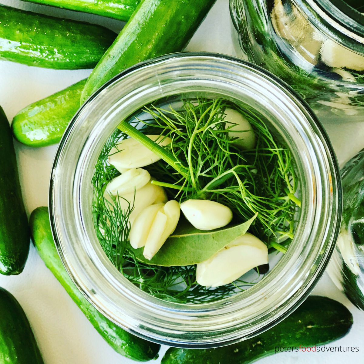 dill pickle herbs in jar