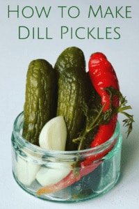 A classic Russian Pickles recipe with lots of garlic, dill and spices, naturally crunchy. Home canning is easier than you think. Canning Dill Pickles is the best way to preserve your cucumbers. Homemade Dill Pickles
