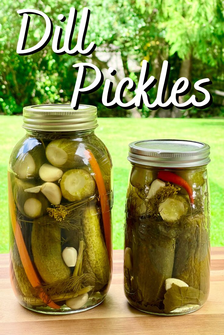 2 jars of dill pickles