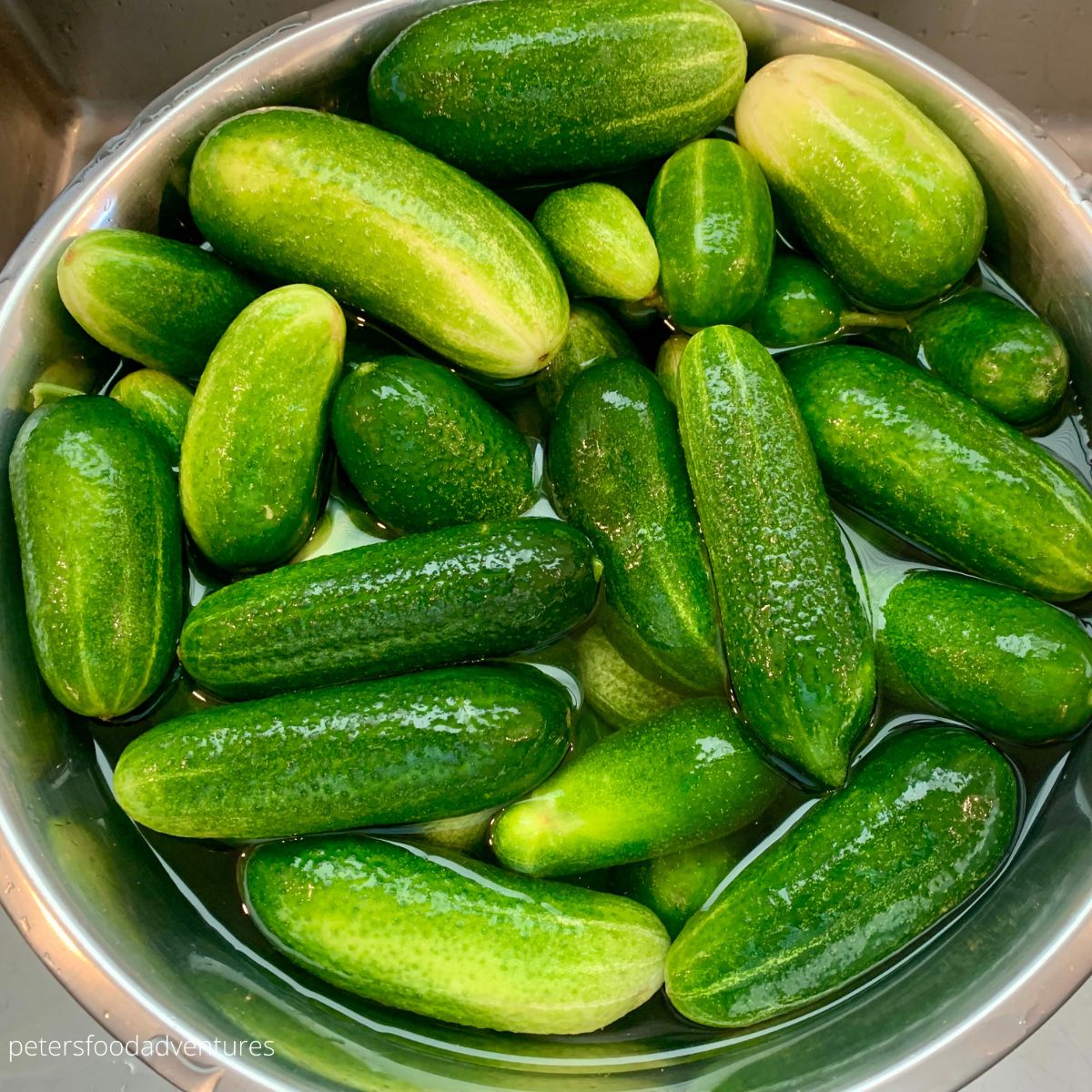 fresh cucumbers in bowl