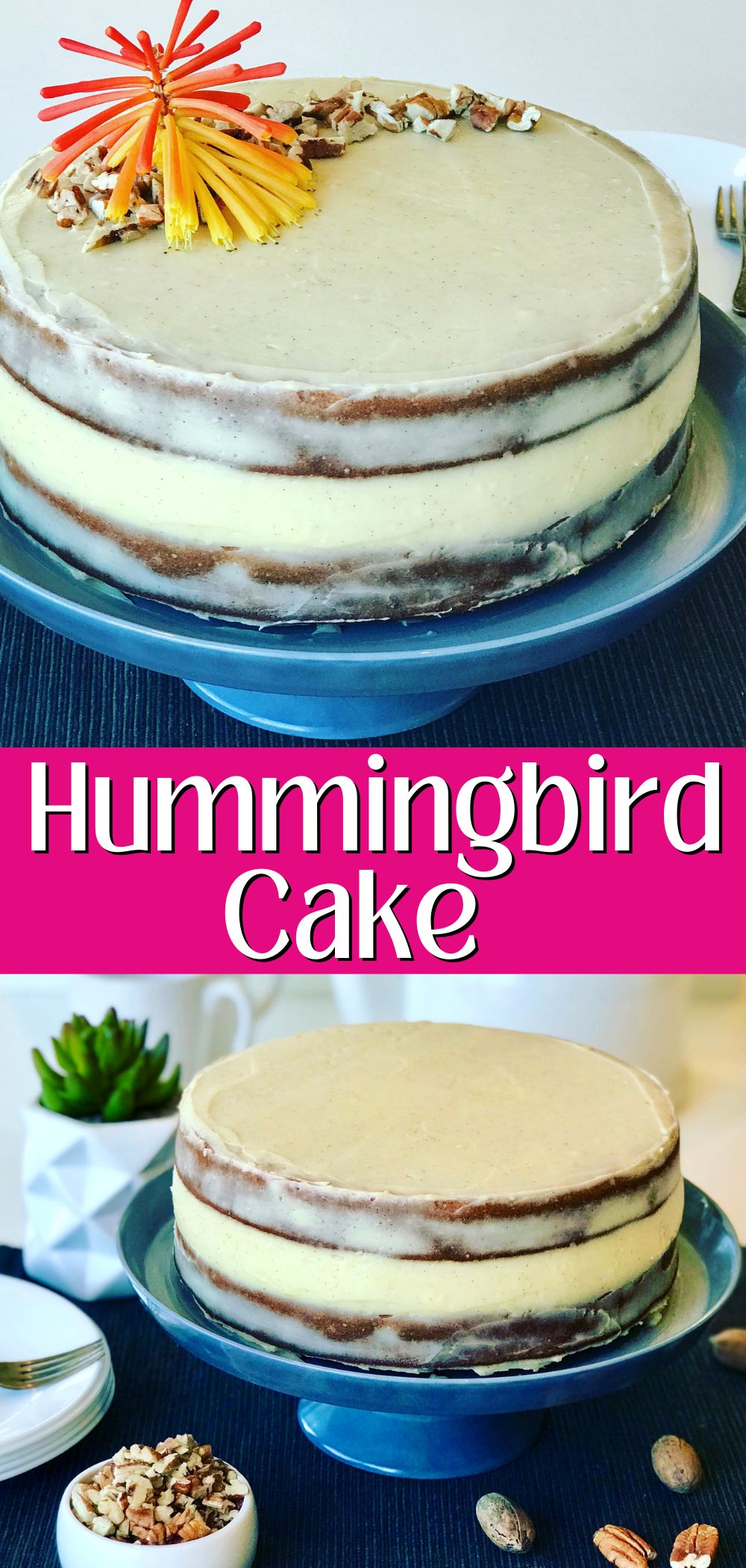 hummingbird cake pin