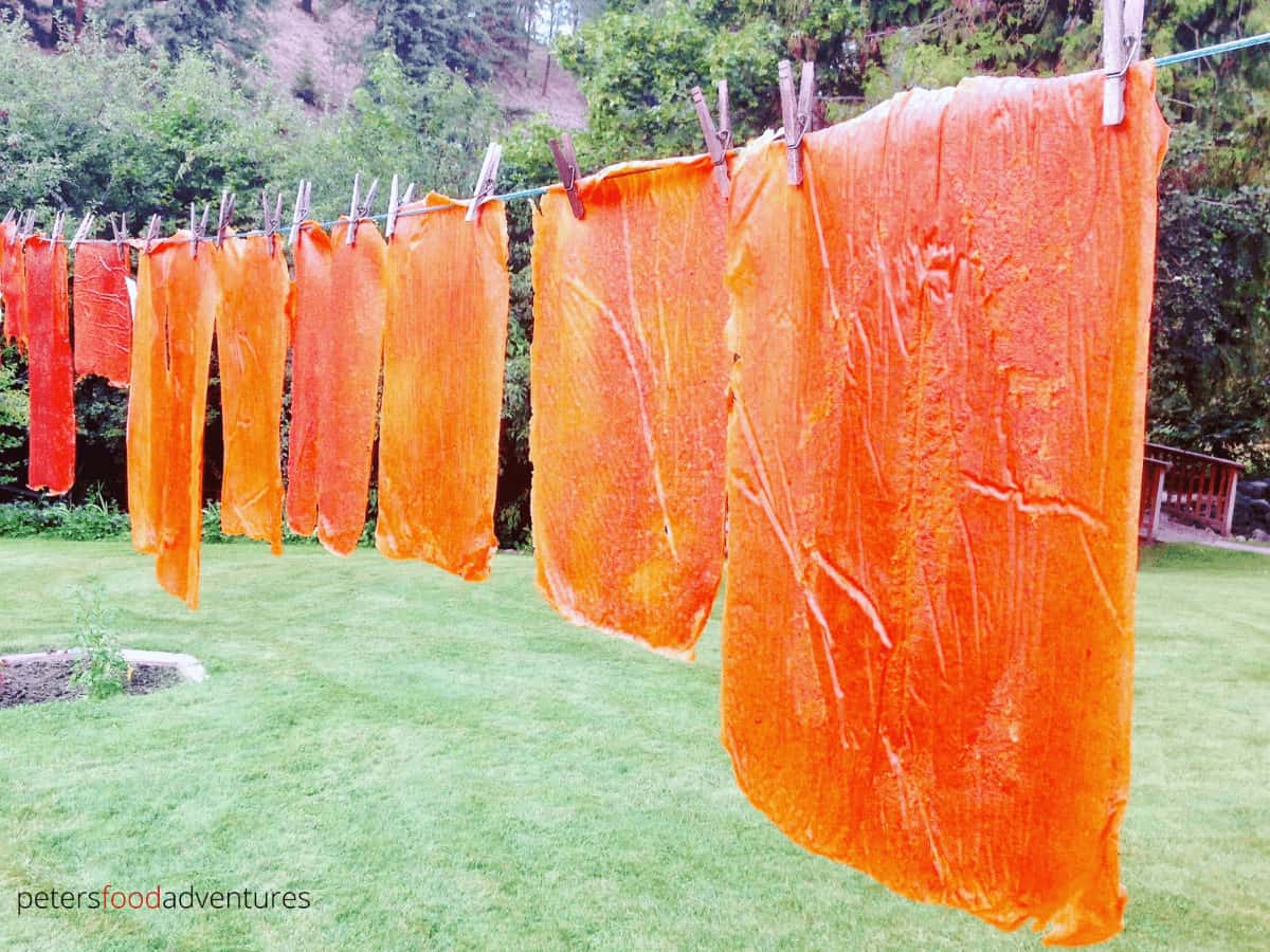 Homemade Fruit Leather recipe made from Apricots or Plums. Naturally sun dried without any nasty ingredients. A healthy and tasty snack for your family.