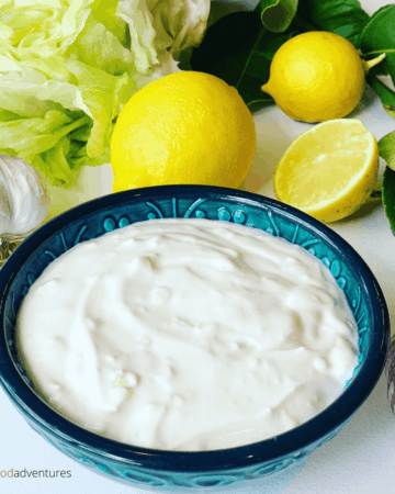 A Creamy Yogurt Garlic Sauce is perfect for your homemade Doner Kebab, Shawarma, Kofta, Souvlaki or Falafels. A Middle Eastern, flavor packed condiment, garlic dip or spread. So simple and delicious!