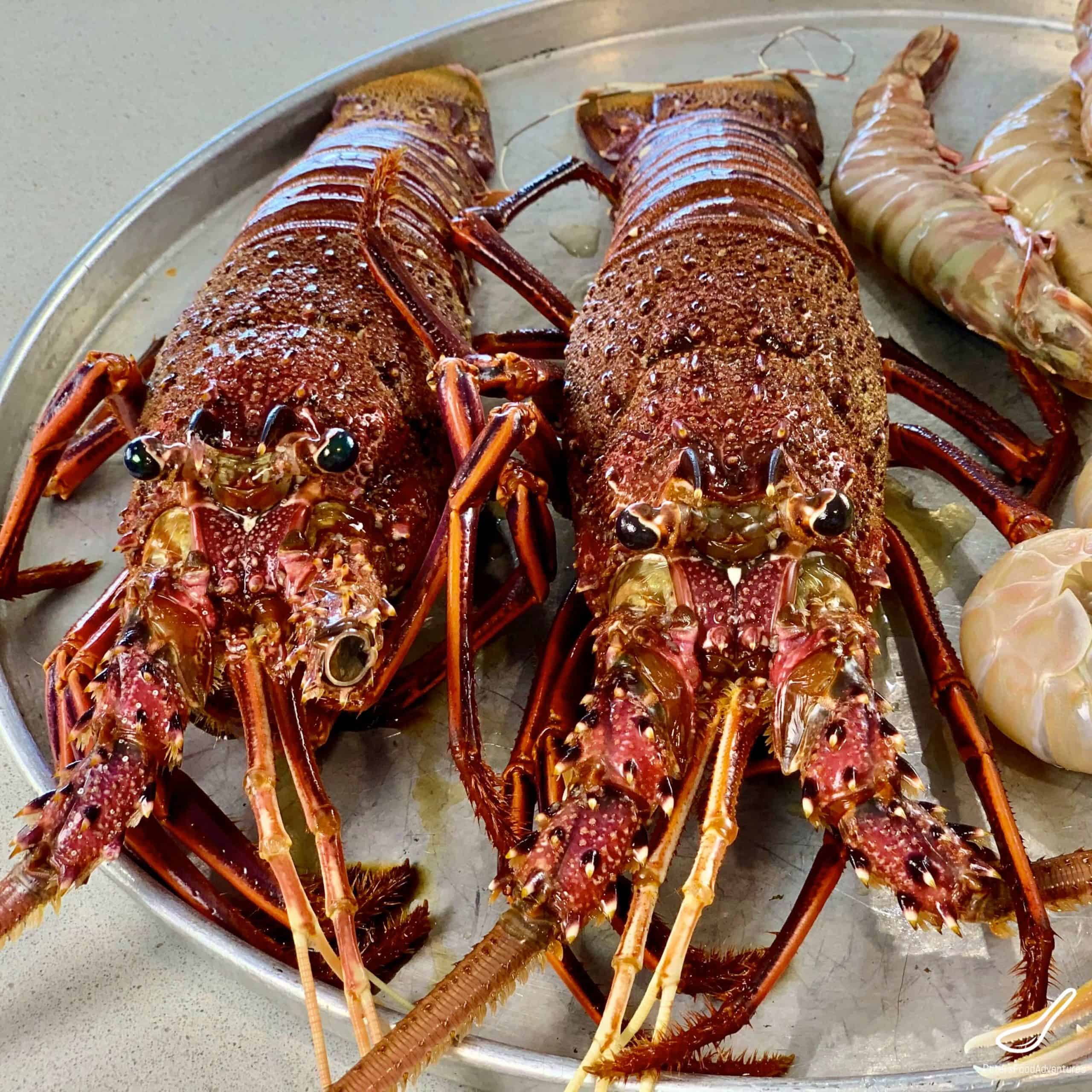whole Rock Lobsters on a plate