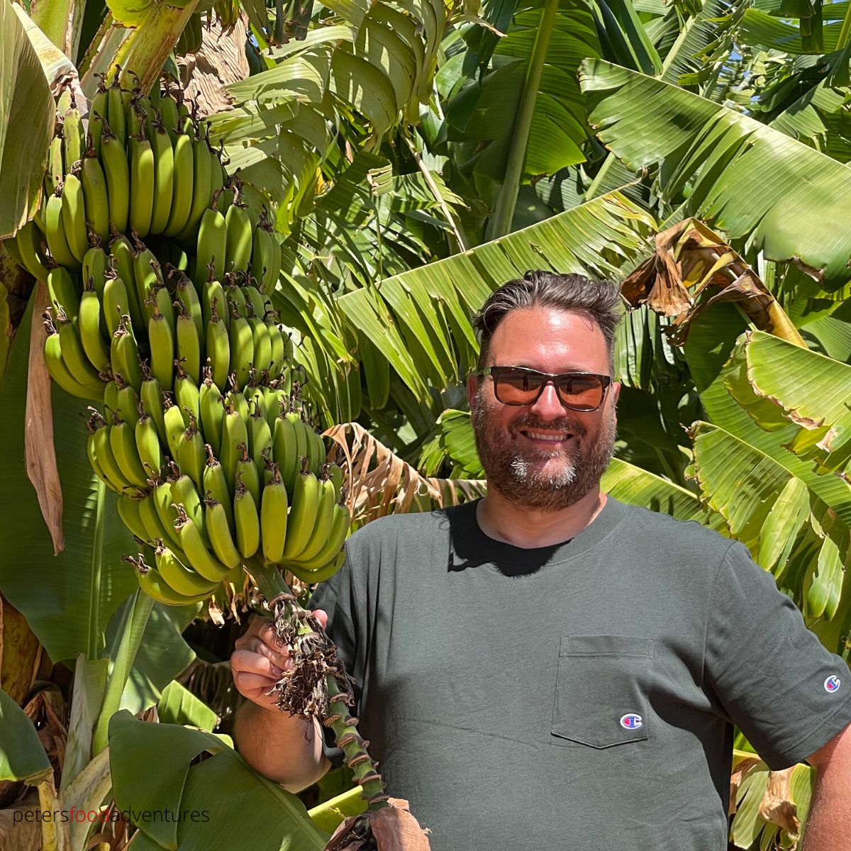 standing in banana plantation