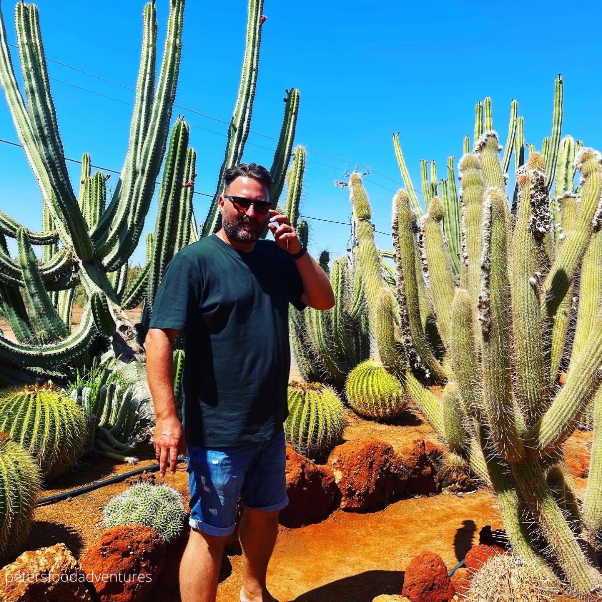 standing in a cactus garden
