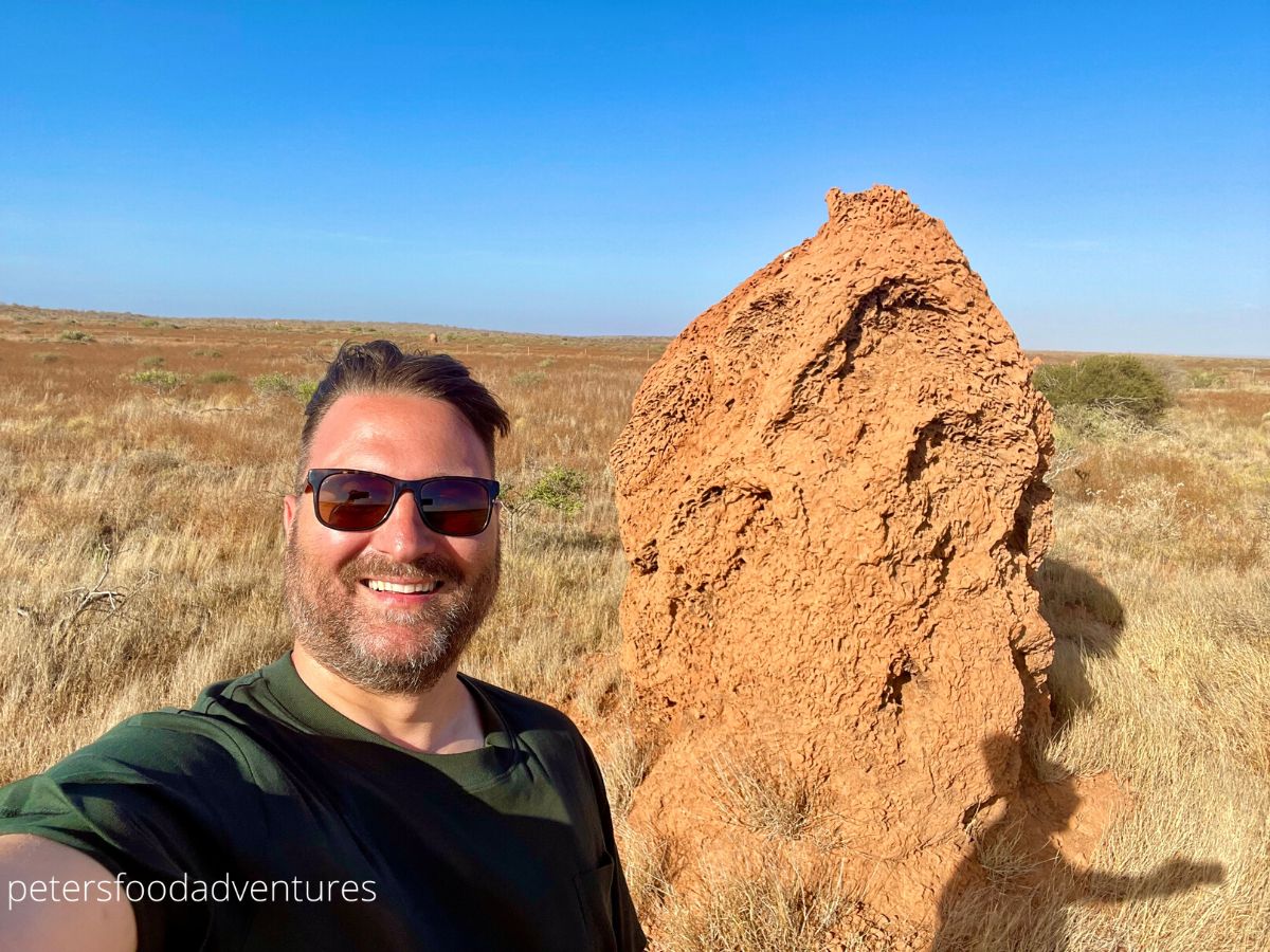 standing beside termite mound in australia