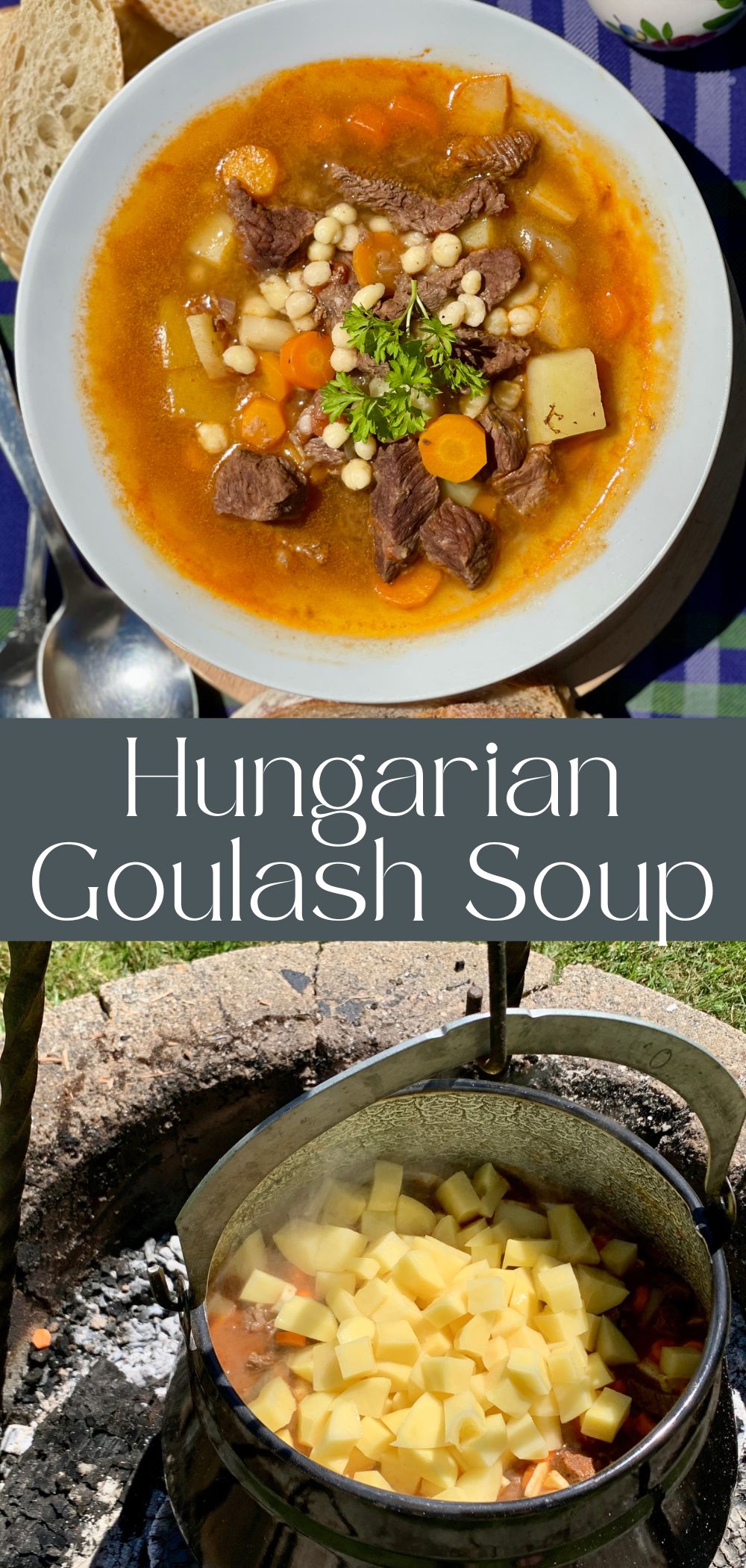 hungarian goulash soup in a bowl
