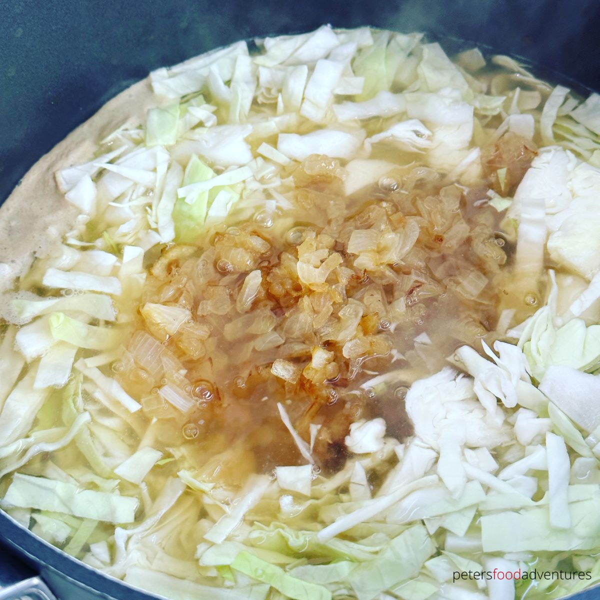 cabbage in soup with onions