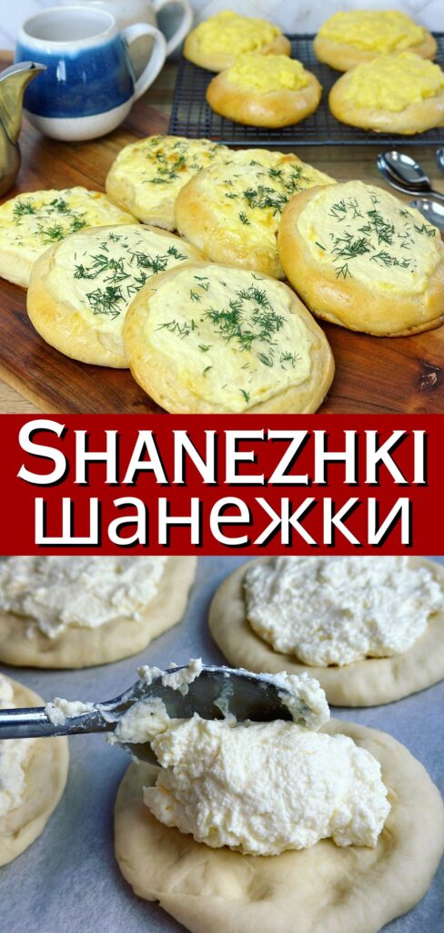 serving Shanezkhi pinterest pin